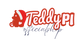 Teddy-PI